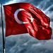 Profile Picture of Mehmet Atlihan (@benaturall) on Pinterest