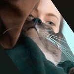 Profile Picture of Kelsey Odom (@kelsnicodo) on Instagram