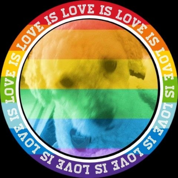 Profile Picture of Chase Lockwood (@chaselockwoo137) on Poshmark