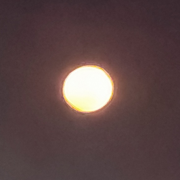 Profile Picture of Lisa Pfeiffer (@blazer514) on Poshmark