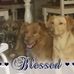 Profile Picture of Joann Ray (@joann.ray.581) on Facebook
