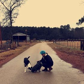 Profile Picture of Bianca Navarrette (@biancanavarrett) on Pinterest