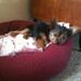 Profile Picture of Doris Bednarski-Perry (@dbednarski) on Pinterest