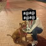 Profile Picture of Alexander Patino (@luisaalejandra.sarmientoortiz.3) on Facebook