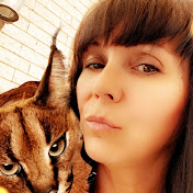 Profile Picture of Nicole Zohfeld (@nicolezohfeld9931) on Youtube