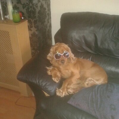 Profile Picture of Tony Magee (@Magee63Tony) on Twitter