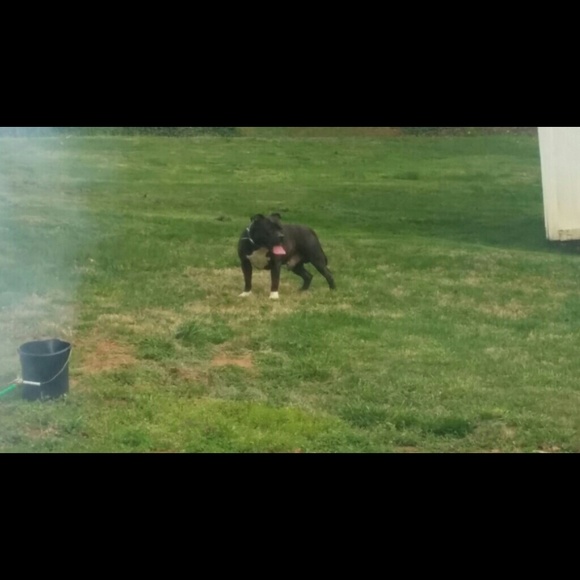 Profile Picture of Marcus Littlejohn (@sucram3284) on Poshmark