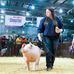 Profile Picture of Courtney Covert (@courtney.covert.927) on Facebook