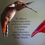Profile Picture of Miguel Alonso Bernal Mosqueda (@miguelalonsobernalmosqueda) on Instagram