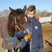 Profile Picture of David Rothbauer (@davidrothb) on Youtube