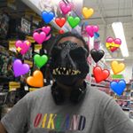 Profile Picture of ジェーソン (@jason_perdomo_cordonero) on Instagram