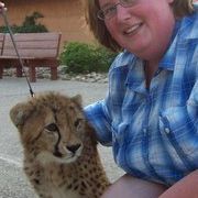 Profile Picture of Stacie Harmon (@wildlfechild) on Pinterest