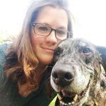 Profile Picture of Lisa Corrigan (@lilocor) on Instagram