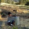 Profile Picture of Craig Schub (@@user2078159510646) on Tiktok