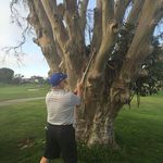 Profile Picture of Terry Lockett (@lockett_terry) on Instagram