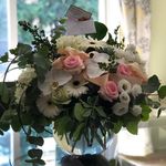 Profile Picture of Michelle Capodanno Zingone (@michellecapzingone) on Instagram