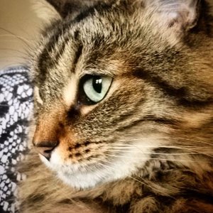 Profile Picture of Paula Dean (@paula.dean) on Myspace