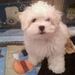 Profile Picture of Daniel Foulke (@danfoulke) on Pinterest