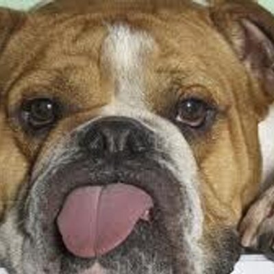 Profile Picture of Ernest Clough (@cloughernest) on Twitter