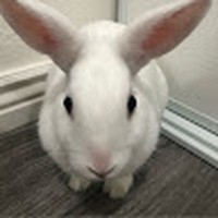 Profile Picture of Alejandro Fontes (@alejandro-fontes-1) on Quora