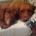 Profile Picture of Deb Storey (@deb.storey.397) on Facebook