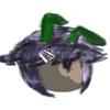 Profile Picture of bradheckman422 (@@frog_love._) on Tiktok