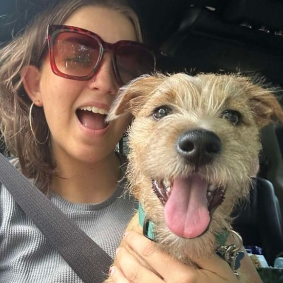 Profile Picture of Ruby Jones (@rajone25) on Poshmark