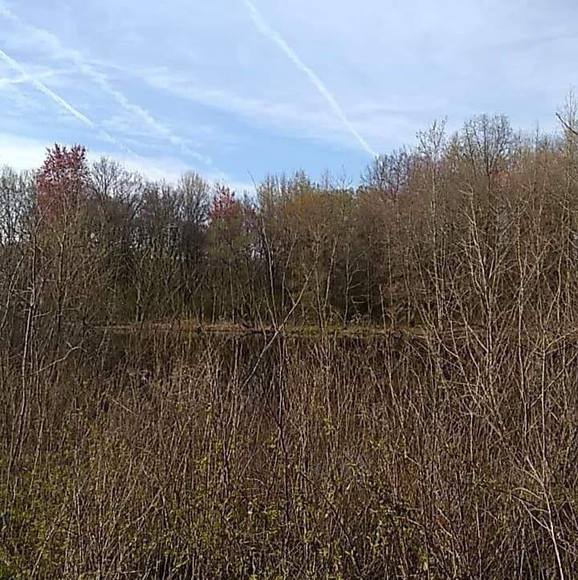 Profile Picture of Steven Walton (@waltons774) on Poshmark