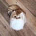 Profile Picture of Alex Pickel (@alex.pickel.129) on Facebook