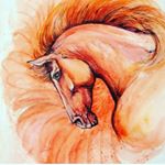 Profile Picture of Forrest Benson (@good_ole_countryboy_) on Instagram
