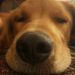 Profile Picture of Sarah Joy Pyle (@sarahjoypyle) on Pinterest