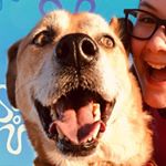 Profile Picture of (っ◔◡◔)っ ♥ Max Hutchison ♥ (@northamericanbrowndog) on Instagram