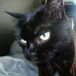 Profile Picture of Laurie Kurczyk (@zegerpine) on Instagram