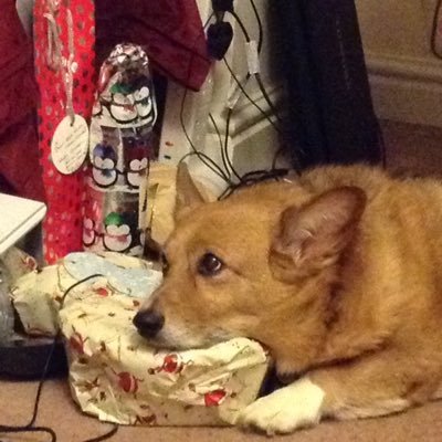 Profile Picture of Emma Perry (@FlamingIvy) on Twitter