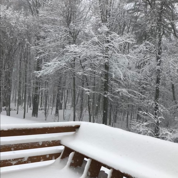 Rosa Papulis - Poshmark Profile Picture of Rosa Papulis (@trailblazer88) on Poshmark