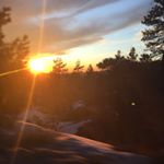 Profile Picture of Chris Hallse (@chris.hallse) on Instagram