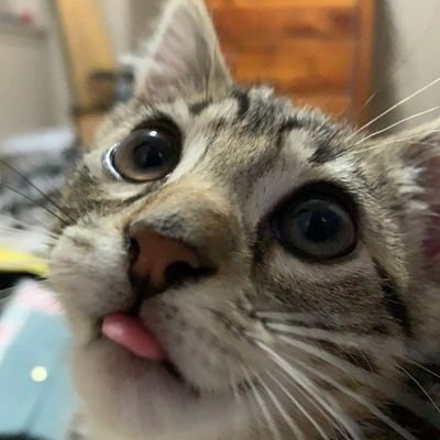 Profile Picture of Derek Foote (@DerekFoote9) on Twitter