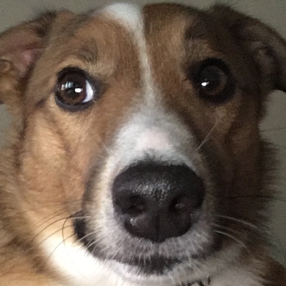 Profile Picture of Joe Digiacomo (@jdig89) on Poshmark