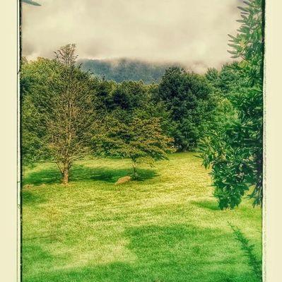 Profile Picture of Tom Helsel (@HelselTh) on Twitter