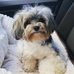 Profile Picture of Joel Andrews (@joel.andrews) on Instagram
