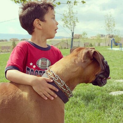 Profile Picture of Andrew Spiegel (@_Spiegel_) on Twitter