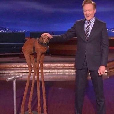 Profile Picture of Justin Wade Sanderson (@JustinWadeSand1) on Twitter