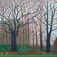 Profile Picture of Steve Tolley (@steve-tolley) on Quora