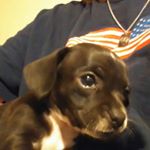 Profile Picture of Anna Biggs (@anna.biggs.750) on Instagram
