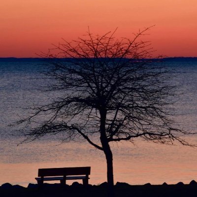 Profile Picture of Kathy Curry (@KathyCu25069094) on Twitter