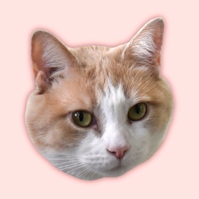 Profile Picture of Spookie Samson ☻ (@sammojammocat) on Twitter