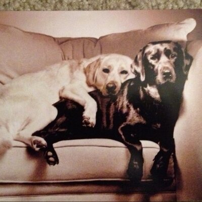 Profile Picture of Debbie Robb (@JackRob_Jack) on Twitter