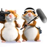 Profile Picture of Albert Heijn Nieuws (@AH_nieuws) on Twitter