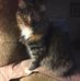 Profile Picture of Richard Oldfield (@richard.oldfield.3760) on Facebook