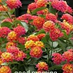 Profile Picture of Rita Roy Chowdhury (@rita.roychowdhury.988) on Instagram
